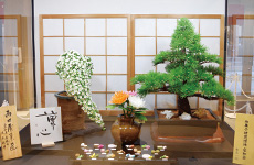 名和会　作品