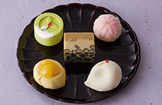 伊藤彩乃（福泉堂）